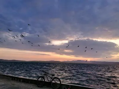 a bike parked on a pier with a flock of birds at AQUAMARINE PARACAS Beach Hostal in Paracas