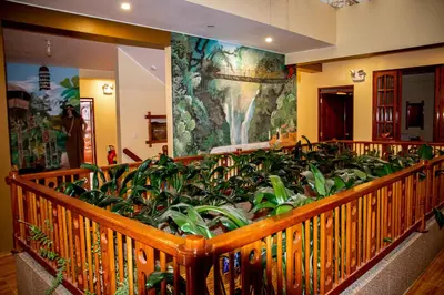 Gallery image of Hospedaje Chimy in Oxapampa