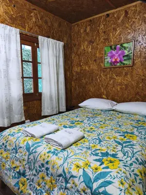 a bed with two pillows on it in a bedroom at Hospedaje Cattleya in Oxapampa