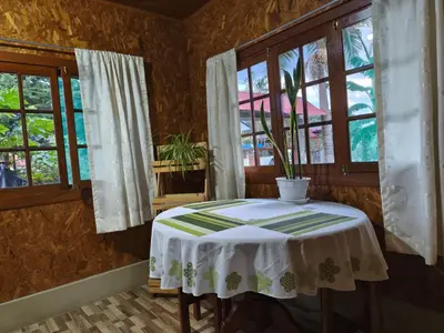 a table with a plant in a room with windows at Hospedaje Cattleya in Oxapampa