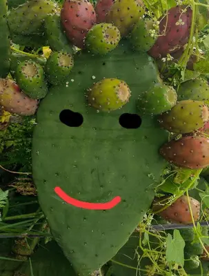 a green cactus with a smiley face on it at Alojamiento Casa Yanantin de Maravilca in Concepción