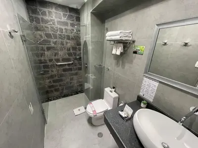 a bathroom with a sink and a toilet and a mirror at Hotel Rojas Inn in Cusco