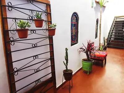a room with potted plants on a wall at Tampu Hotel in Cusco