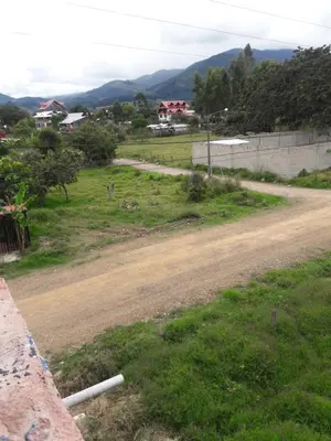 a dirt road next to a field with houses at Suzet House in Oxapampa