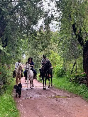 three people riding horses on a dirt road with a dog at Bungalows Perayoc in Urubamba