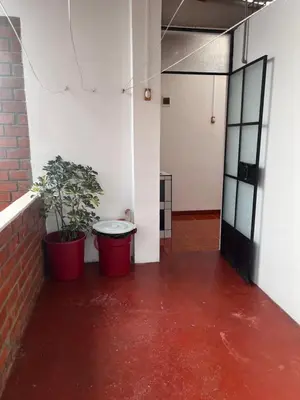 a room with two potted plants and a door at Hospedaje Familiar Laos in Oxapampa