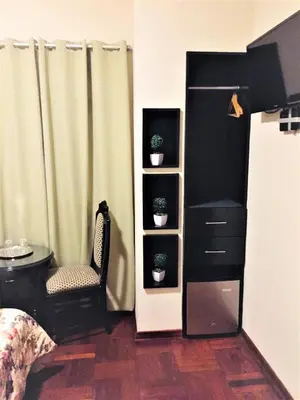 a room with a chair and a shelf with potted plants at Hostal Carlos Tenaud in Lima