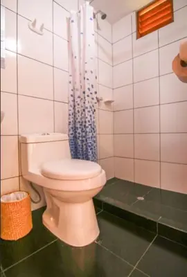 a bathroom with a toilet and a blue shower curtain at Eco Hacienda Roman in Machu Picchu