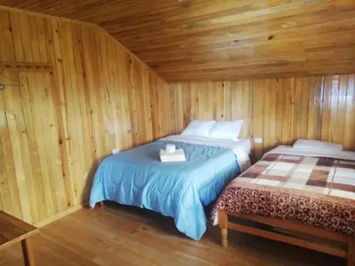 a bedroom with two beds in a wooden room at HOSPEDAJE CAMPOS ELÌSEOS in Oxapampa