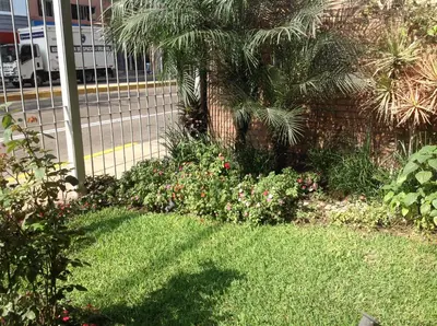 a garden with a palm tree and some flowers at Room 5 Star Miraflores in Lima