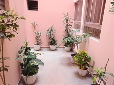 a row of potted plants in a pink wall at Hotel Mandarin in Lima