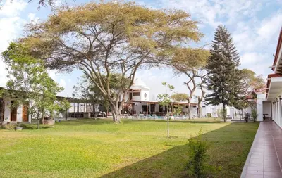 a park in front of a house with a tree at Bodega el Huarango in Ica