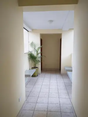 an empty hallway with a potted plant in a building at Hotel Sumaq Inn Sac in Lima