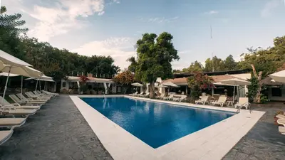 a large swimming pool with lounge chairs and umbrellas at Hotel Majoro in Nazca