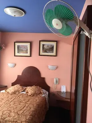 a bedroom with a bed and a fan at Hotel SKY in Lima