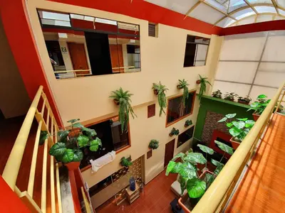 an overhead view of a room with potted plants at El Mariscal Cusco in Cusco
