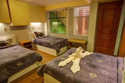 a room with two beds with an animal laying on the beds at El Mariscal Cusco in Cusco