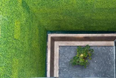 a green wall with a window with a plant in it at Tierra Viva Miraflores Centro in Lima