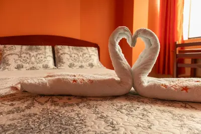 two swans making a heart on a bed at Refugio Hotel in San Ramón