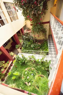 an outdoor garden with plants and flowers on a building at Hospedaje Zaragoza in Ayacucho