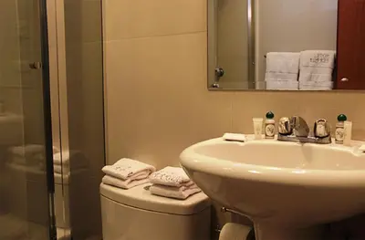 a bathroom with a sink and a toilet and a shower at Hotel Ferrua in Lima