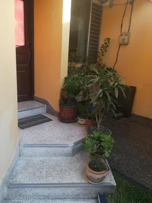 a group of potted plants sitting outside of a door at Mini Departamento Tambo Huascar 2 in Lima