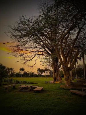 Gallery image of Casa Hacienda San Jose in Chincha Alta