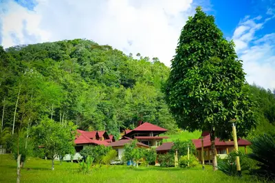 a house in the middle of a forest with a tree at Mercedes Lodge in San Ramón
