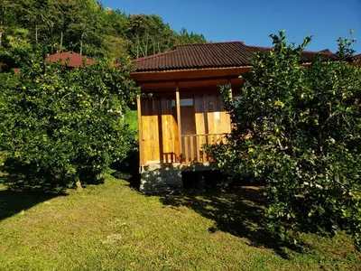 a small cabin in the middle of two trees at Mercedes Lodge in San Ramón