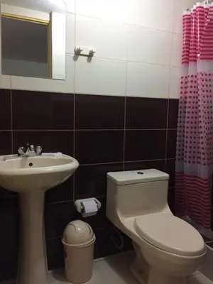 a bathroom with a toilet and a sink at La Estación San Pedro in Cusco