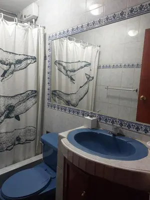a bathroom with a whale shower curtain and a blue toilet at Mandalas Cusco in Cusco
