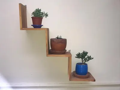 three plants sitting on wooden shelves on a wall at Casa de Juan y Violeta in Lima