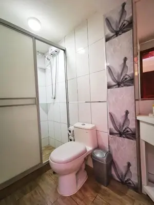 a bathroom with a pink toilet and a shower at Casa Durand in Cusco