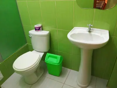a green bathroom with a toilet and a sink at Nasca Trails B&B in Nazca