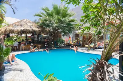 a group of people in the swimming pool at a resort at Banana's Adventure Hostel in Ica