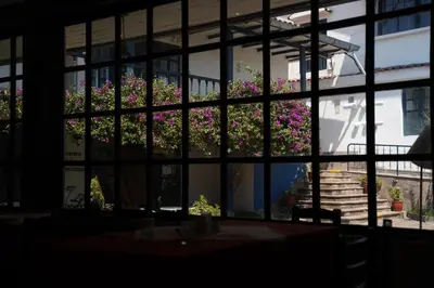 a window view of a plant with purple flowers at Hotel Casa Campesina in Cusco