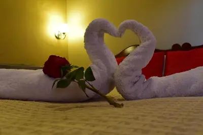 two towels shaped like swans sitting on a bed at Kuska Hostal in Cusco