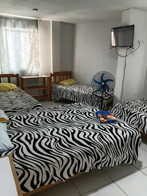 a room with two beds with zebra print sheets at Hospedaje Anny in Larán