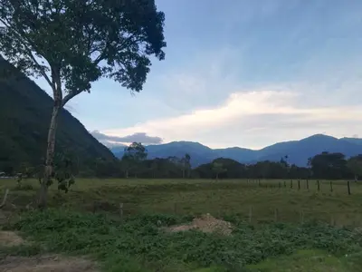 a field with a tree and mountains in the background at Casa Hospedaje el Prado Eco turismo in Oxapampa