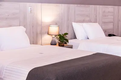 two beds in a bedroom with a lamp and a plant at Surya Lima in Lima