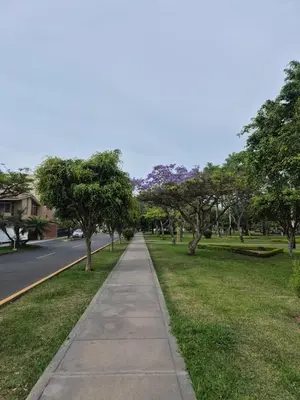 a sidewalk in a park with trees and grass at Garden House Miraflores in Lima