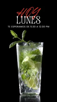 a glass with a drink with a plant in it at Hotel Konford Cañete in Imperial