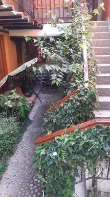 a garden with plants on the side of a building at Wayras Hostal in Ollantaytambo