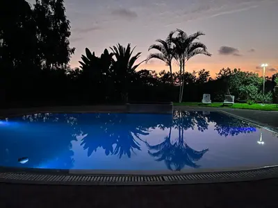 a reflection of a palm tree in a pool at sunset at Bungalows de Casa Verde in Mala
