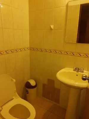 a bathroom with a toilet and a sink at suite pardo CAA Miraflores in Lima