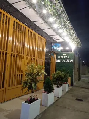 a row of potted plants in front of a building at Hostal Milagros in Chancay