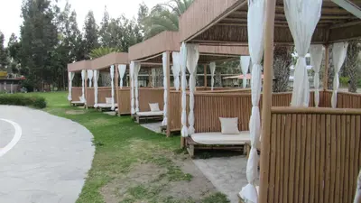 a row of white chairs sitting on the grass at Guizado Portillo Hacienda & Resort in Lunahuaná
