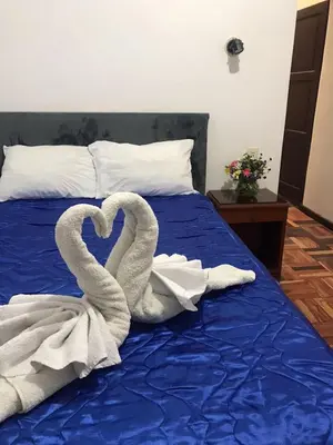 two swans making a heart on a bed at Hostal Alfredo's Palace in Cusco