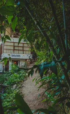 a view of a building through the trees at Rupa Rupa High Jungle Eco B&B in Machu Picchu