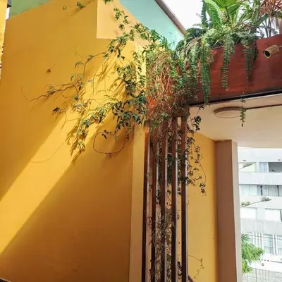 a yellow wall with plants on the side of it at Loft abierto y moderno & Aire acondicionado in Lima